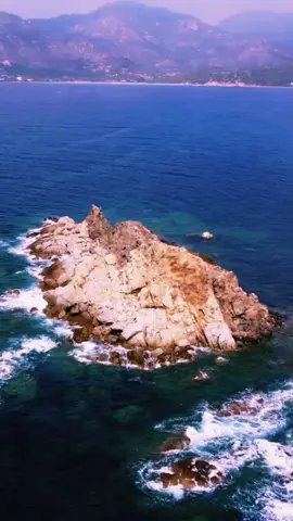 #mojo.video 