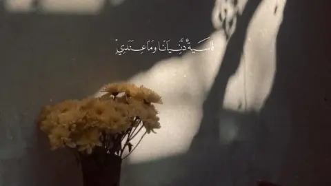 ياصّاحب الزمَانْ..🤍🌿. #كربلاء #العراق #ياسر١٤٢٥هـ 