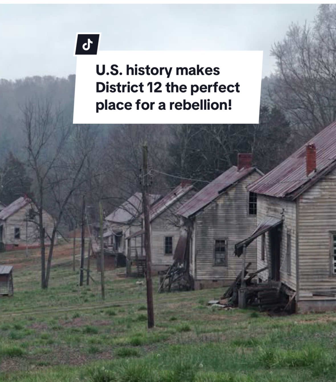 Did you know about these other rebellions that happened in “District 12” earlier on?! #hungergames #history #USHistory #usa #historytok #historytiktok #TikTokLearningCampaign #learning #LearnOnTikTok #tiktokuni #EduTok #BookTok #books #thg #hungergamesedit #thehungergames #district12 #appalachia #appalachianmountains #appalachian #panem #katniss #westvirginia #tennessee #northcarolina #virginia #prohibition #nc #va #wv #usa🇺🇸 #fyp #apush #americanhistory #america #rebellion #booktokfyp #dystopian #historylesson 