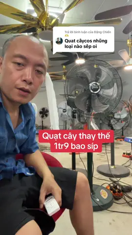 Trả lời @Đặng Chiến 🫶 cứ thế thôi#vuaquat 