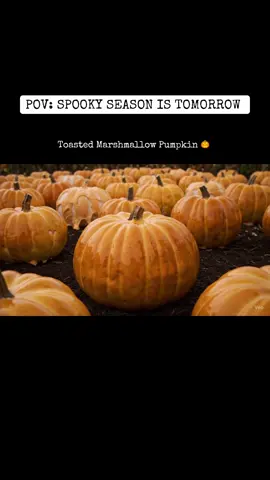 What pumpkin should we crush next? If you want to learn how to make videos like this, click the link in our bio! #oddlysatisfying #asmr #autumnvibes #aiasmr #spookyseason 