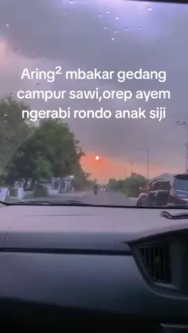 Ra ngurus cangkem Tonggo ngerabi rondo jaminan suargo☺️#rondogkmasalahwirrr 