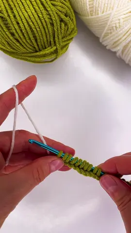 #crocheter #crochetideas #tunisiancrochet 