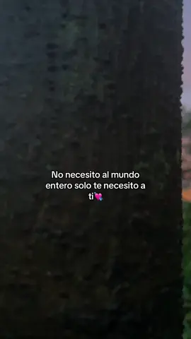 #paratiiiiiiiiiiiiiiiiiiiiiiiiiiiiiii #fyppp #frasesparadedicar❣️ #frasesdeamor💕 #💕💕💕 #teamo💘 #novios #musicas #cosasbonitas😍 #videosparadedicar♡ #soyviralシ 