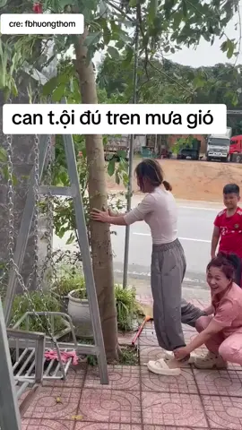 #xuhuong #video #baolu 