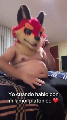 Hoy toca pancita yipiiii #furry #furryfandom #fyi #fyp #foryoupage #paratiiiiiiiiiiiiiiiiiiiiiiiiiiiiiii #lacasadelosdibujos 