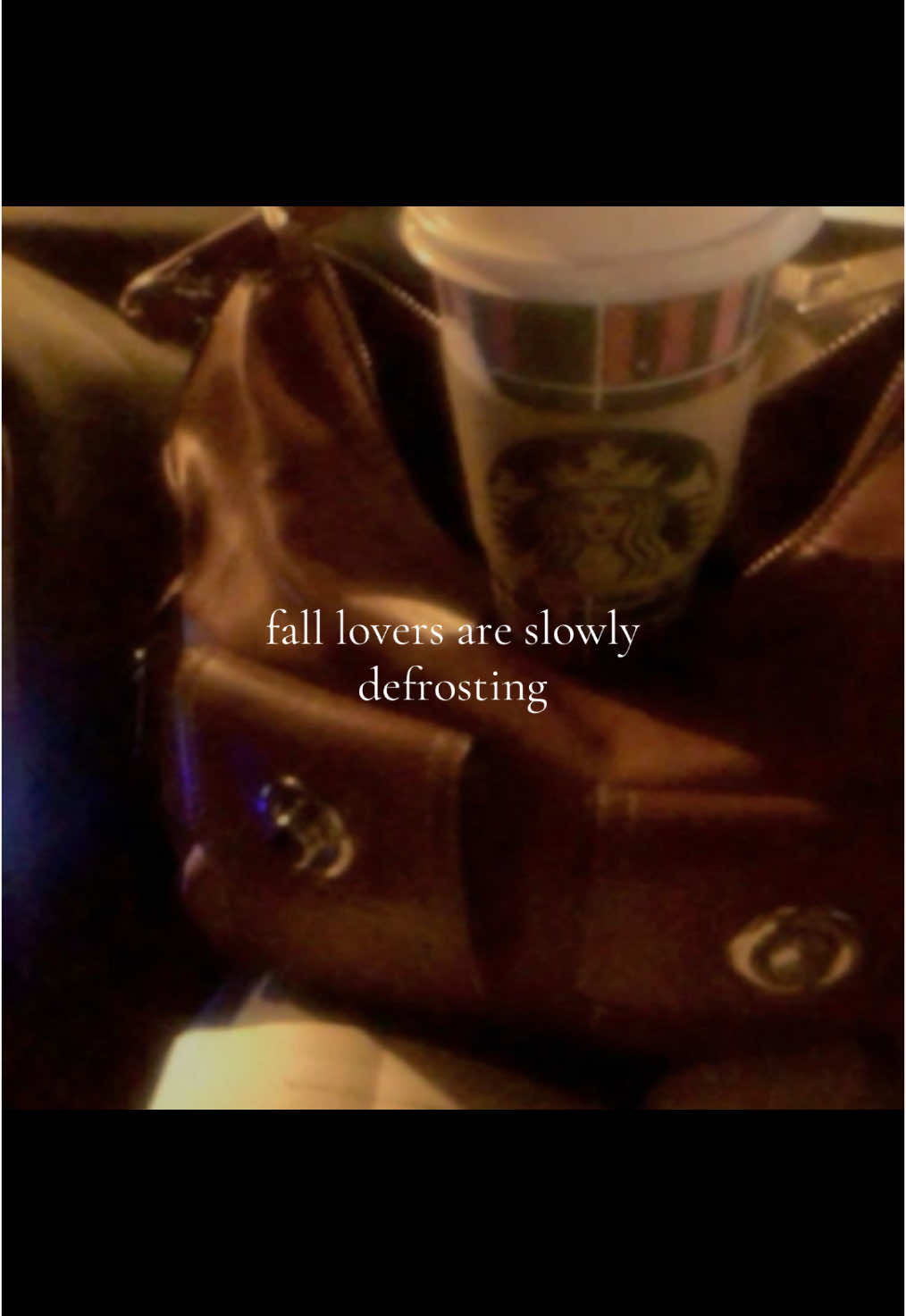 🍂🍁 || #fall #autumn #summerween #fyp 