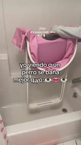 jajaja literal #holaaaa #paratiiiiii8iiii #hollywood #lo_logramos_puhainas🥑 #paratiiiiii8iiii #lo_logramos_puhainas🥑 