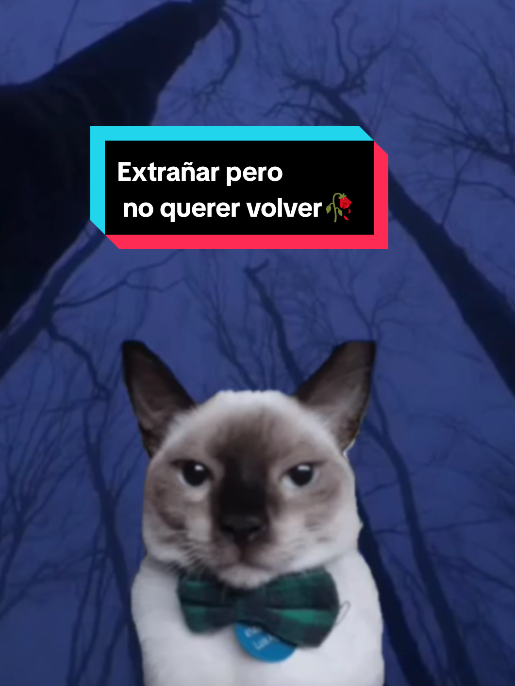 Extrañar a una persona pero no querer que vuelva🥀🥀 #reflexion #pensamientos #filosofia #psicologia #sentimientos #reflexivo #triste #extrañar #gatofilosofo #paratiiiiiiiiiiiiiiiiiiiiiiiiiiiiiii 