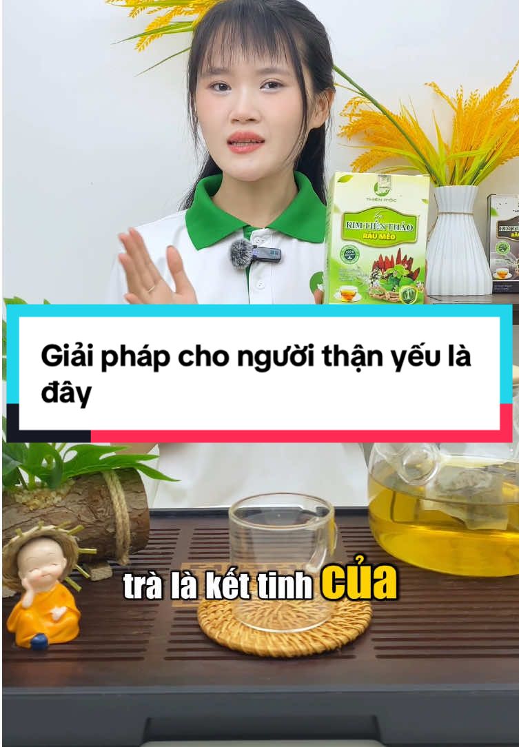 Giải pháp cho người thận yếu là đây#trathienmoc #thienmoc #xuhuong #viral 