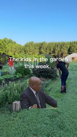 It’s been a busy week reclaiming the garden from the weeds. But we did it! Some of you have asked how we keep the garden looking so tidy and here it is. The kids have really pitched in this year and have done such an amazing job! Disclaimer: our kids are not abused in anyway and enjoy being apart of the family business. #landscaping #weeding #gardening #Meme #MemeCut