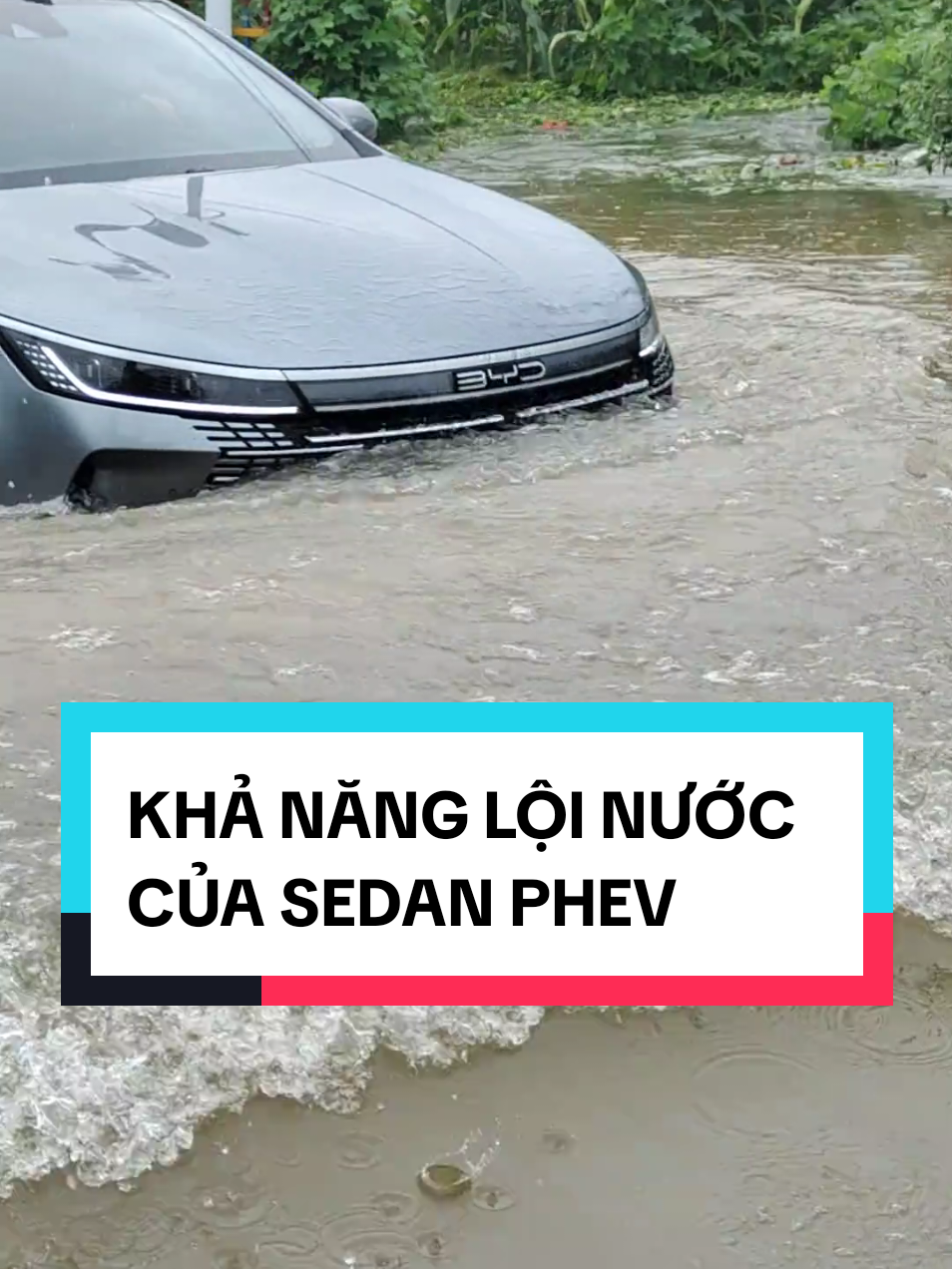 #byd #xh #xuhuongtiktok #xuhuong #bydseal #bydseal5dmi #bydking 