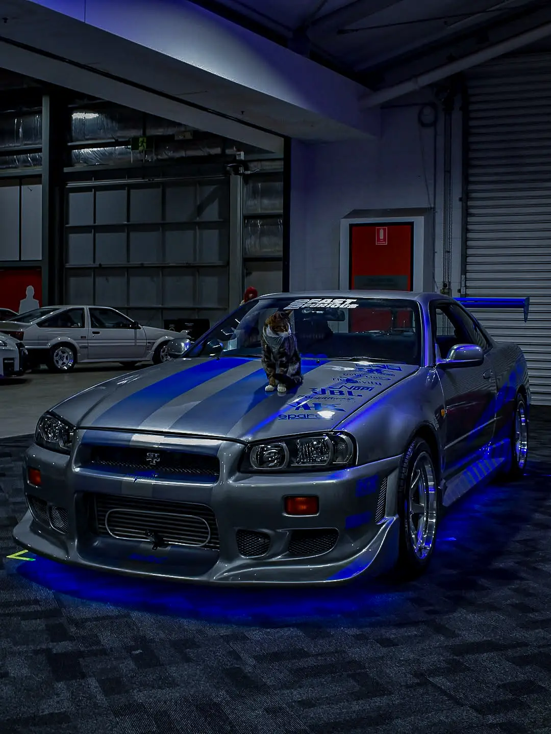 #nissan #skyline #cat #fastandfurious #fyp 