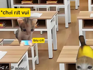 p1#meme #xh