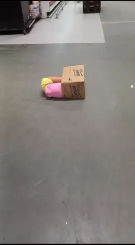 ficou presa na caixa de papelão kkkk