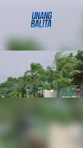 Malakas na ulan at hangin na dulot ng bagyong #EmongPH, ramdam na sa Zambales #shorts | Unang Balita #GMAIntegratedNews #BreakingNewsPH #UnangBalita
