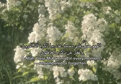 — في الزحام، في النسيان، في كل لحظة تمر بنا دون أن ننتبه… اللهم صلِّ على محمد عدد من ذكره وذكرناه، وعدد من غفل عن ذكره ونسيناه . اجعل صلاتنا عليه نورًا لا ينطفئ، وسلامًا يصل حيث لا نصل ❤️ #قران_كريم #اقتباسات #الاسلام #بَصيرة #صدقة_جارية_لوالدي_وللمسلمين_والمسلمات 