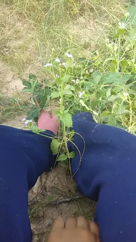 #satisfying #oldme #foryourpage #stitch #standwithkashmir #fypシ 