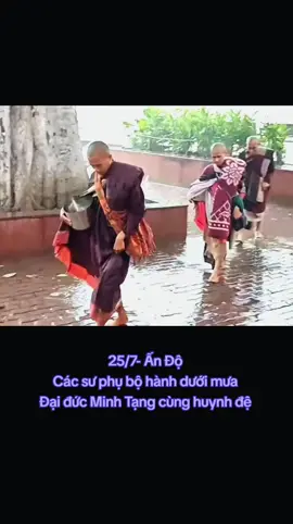 Các vị sư phụ sáng nay #xuhuong #thichminhtue #gaimienque ☘️🌸