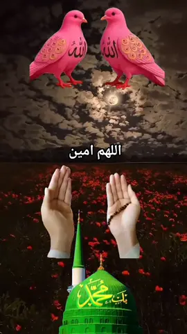 #ياليلة_الجمعة_إحملي_مابقلوبنا_إلى_السماء #جمامبارک💫🕌 #امین_یارب_العالمیــــــــــن🤲🏻🥺🌹💛💙 