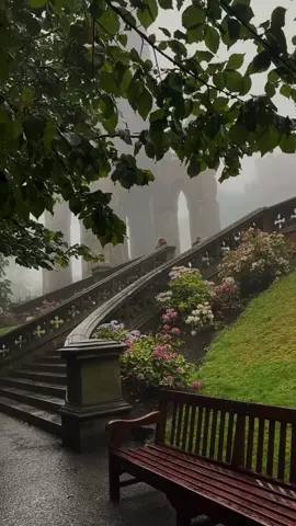 #flowers #naturecore #explorepage #scenery #dreamcore #explore #castle #aesthetic 