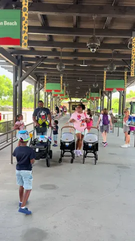 PEACH McINTYRE 🍑 & HER HUSBAND  👑 TAKES THEIR 9 KIDS 🧑🏾👦🏾🧒🏽👧🏽👶🏾👶🏾👶🏾👶🏾👶🏾 TO DISNEY WORLD 🤩😀🤩 SHE MAKES IT LOOK 👀 SO EASY 💃🏾💃🏾💃🏾