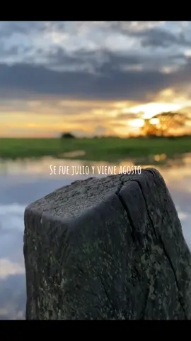 Se fue julio y viene agosto🤠 @Jorge F. Guerrero S. 