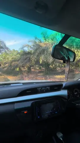 Kekebun bue bersama @Aries #sawitkalimantan🌴🌴🇮🇩 #hilux #kebunbue 