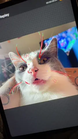 pretty little toby #digitalart 