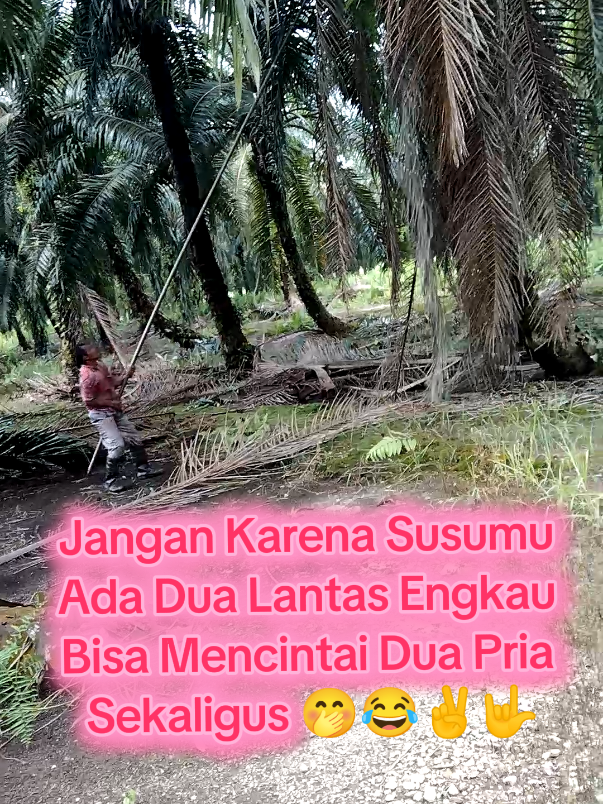 😀😂🤭🤭