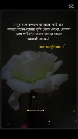 কপালে কি আছে জানিনা,, কিন্তু আল্লাহর কাছে যা চাই তা -অসম্ভব নয়...🤲🖤