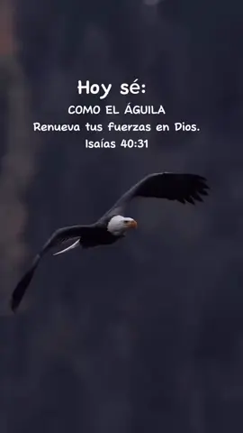 *El Dios de Victoria va delante de Ti, no te detengas*  Leer: Eclesiastes 4-6 24 Julio
