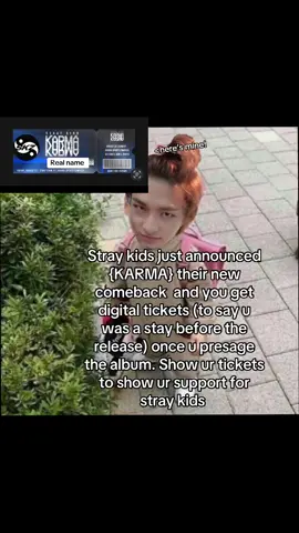 Go get ur tickets!!! #like #straykids #digitaltickets #fyp #blowthisupforme 