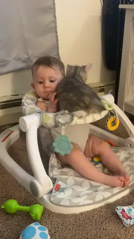 My pretty little babies ❤️❤️ #babytok #babiesoftiktok #prettybaby #kittensoftiktok #kitten #catsoftiktok #kidsoftiktok 