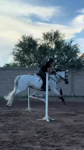 In and outs with my girl 🤍  ig: mariateresa.eq #showjumping #mare #tarma_ls #fyp 