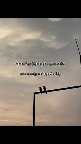 #fypage #moots? #foryou #fyppppppppppppppppppppppp #tiktokmyanmar🇲🇲 