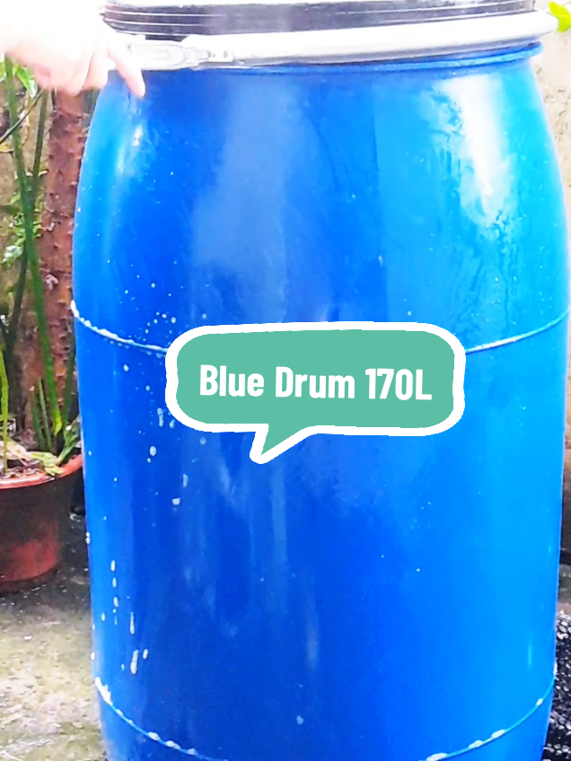 Blue Drum 170L - All in one na siguradong magagamit mo sa bahay o negosyo. May ring lock para maiwasan ang tagas at kontaminasyon. Sulit at matibay. 💫✨️🌳 #bluedrum #emptydrum #drum #waterstorage #imbakanngtubig #storagehacks #tiktokviral 