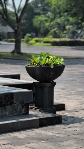 #CapCut Ngapain Repot Cinematic #dsldr 