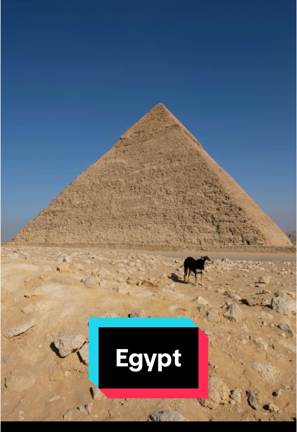 #BestOfEgypt #VisitEgypt #Egypt2025 #مصر_الجميلة #cairotower #ExploreEgypt #misteregypt 