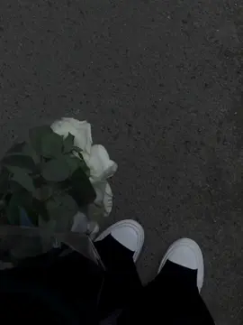 مايدق الباب الا رجال يارب سترك على بنات المسلمين والمسلمات  #الصلاة_والسلام_عليك_ياحبيبي_يارسول_الله❤ #ربي_ارحمني_واغفرلي_سبحانك_لااله_الاانت #حقيقه_يجب_ادراكها #اليمن🇾🇪المملكة🇸🇦 #ليك______🖤___متابعه____اكسبلووور 