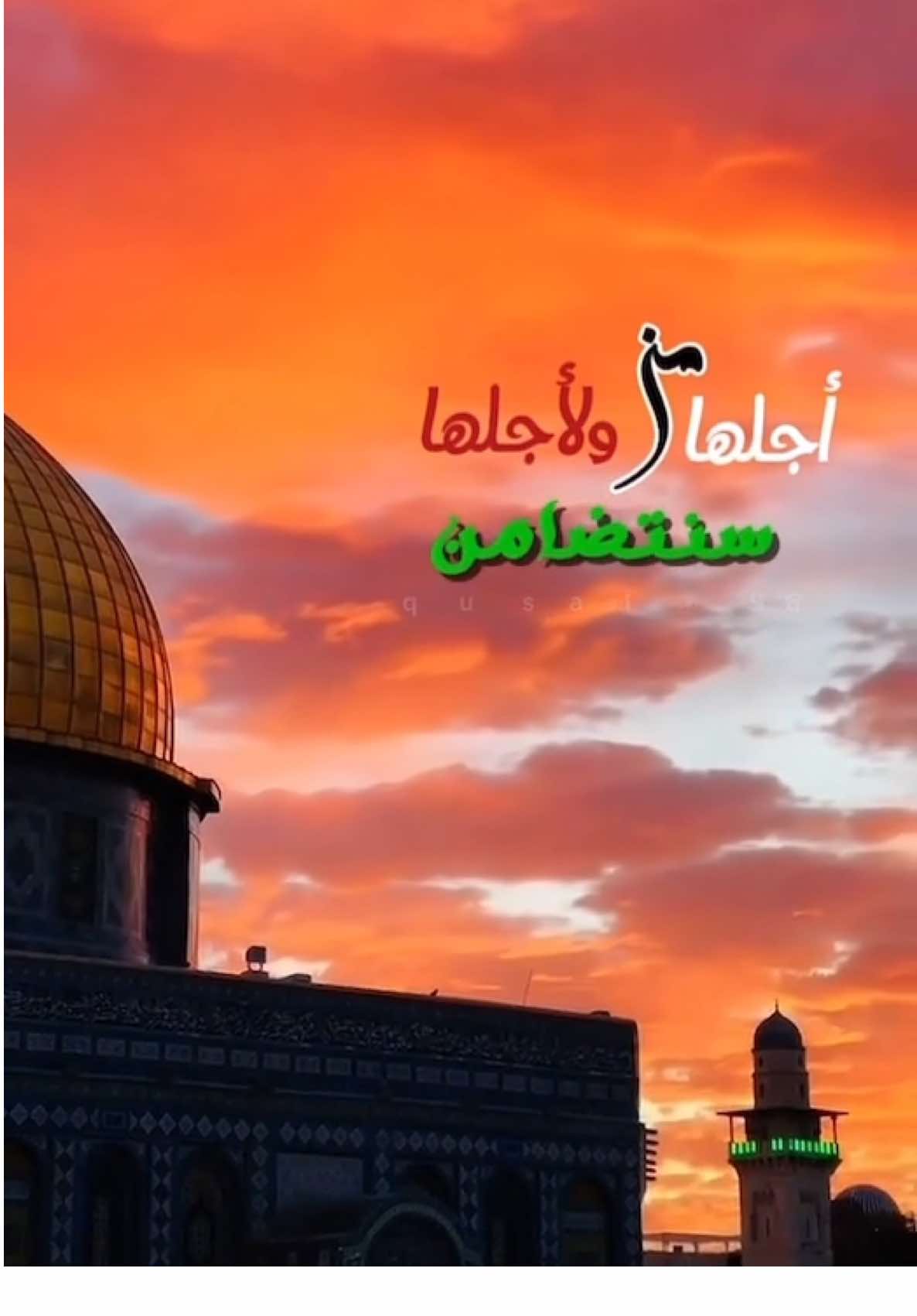 الارض التي تحفظ الوجع في صمت .. وتورث الصمود كما تورث العزة في النفوس..! @حسن العيدروس  . . . . . . #حسن_عدروس #فلسطين_موطن_الصابرين #فلسطين #ارحمو_من_في_الارض_يرحمكم_من_في_السماء #الانسانية 