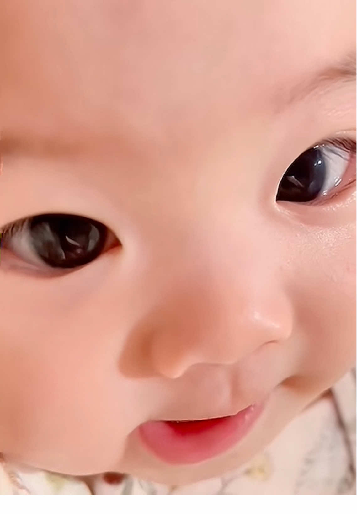 #babybear #beyeu 