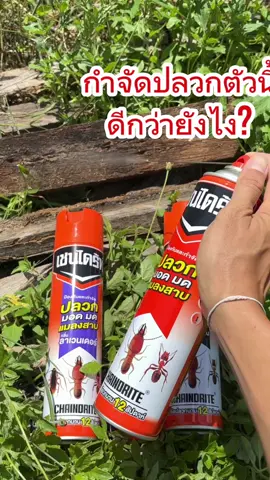 ตัวจริงเรื่องปลวก เชนไดร้ท์ ด้วยยอดขายอันดับหนึ่ง ฉีดแล้วตุยไวด้วยเทคโนโลยีเชลจากประเทศอังกฤษ บริษัทมืออาชีพกว่า50 ปี ถ้าไม่อยากให้บ้านไม้พังต้องใช้นะ  พิกัดในตะกร้าแล้ว  #เชนไดร้ท์  #Chaindrite  #ตัวจริงเรื่องปลวก  #ยอดขายอันดับหนึ่ง  #สินค้าคุณภาพ  #กำจัดปลวก  #สเปรย์กำจัดปลวก  