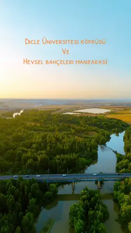 #hevselbahçeleri #diclenehri 