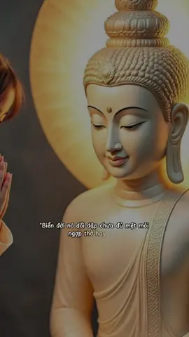 Thương còn không hết 