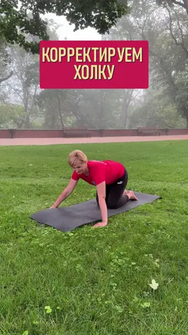 КОРРЕКТИРУЕМ ХОЛКУ