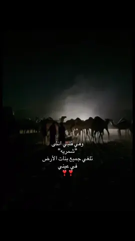 #explore #شمر #طنايا #555 #لَ #fyp 