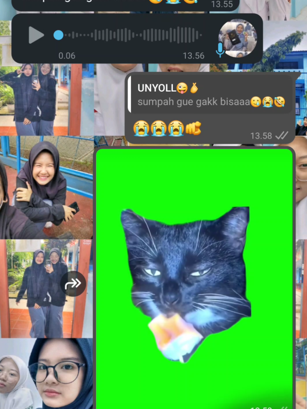 impersonate most popular memes cat w/@ul✨  #memekucing #cat #fyp #memes #impersonate 