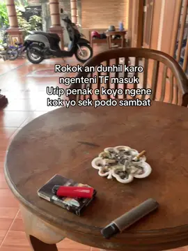 #supirtruck #drivermuda 