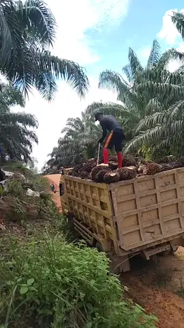 semangatki bossku #bismillahfyp #pasompebugis #kalimantantimur #bugisbulukumba 